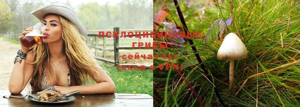 мдма Ельня