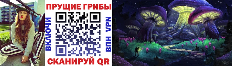 где найти наркотики  Сельцо  Псилоцибиновые грибы мухоморы 