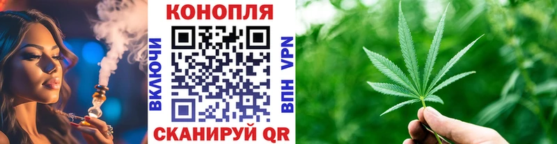 Бошки Шишки семена Сельцо